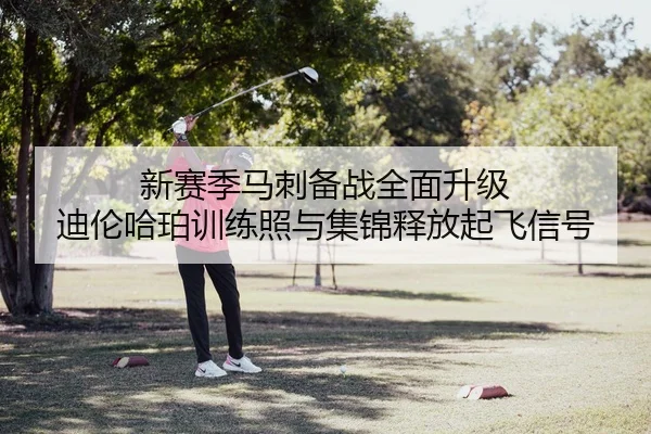 新赛季马刺备战全面升级 迪伦哈珀训练照与集锦释放起飞信号